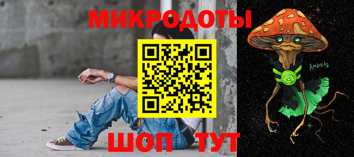 Галлюциногенные грибы Psilocybine cubensis Анапа